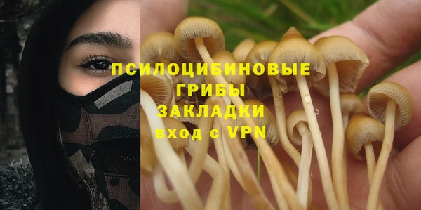 spice Гусиноозёрск