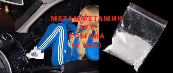 шишки Гусев