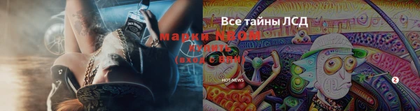 марки nbome Гусь-Хрустальный