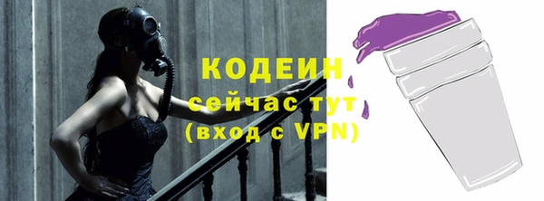 шишки Гусев