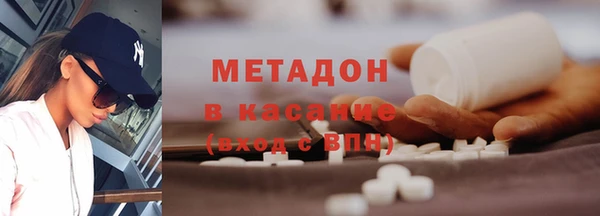 шишки Гусев
