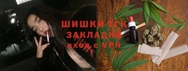 шишки Гусев