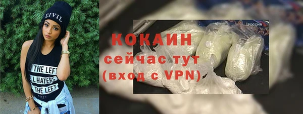 шишки Гусев