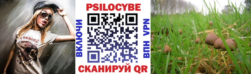 Псилоцибиновые грибы GOLDEN TEACHER  Купить закладки  Новая Ладога 