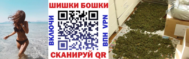 Купить закладки Новая Ладога Бошки марихуана конопля